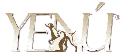 logo-Yenú